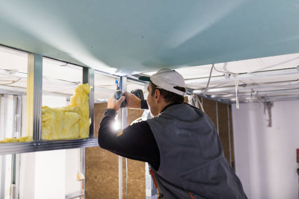 Best Insulation Contractors for Homes  in Westerville, OH