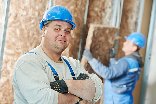 Best Insulation Replacement Services  in Westerville, OH